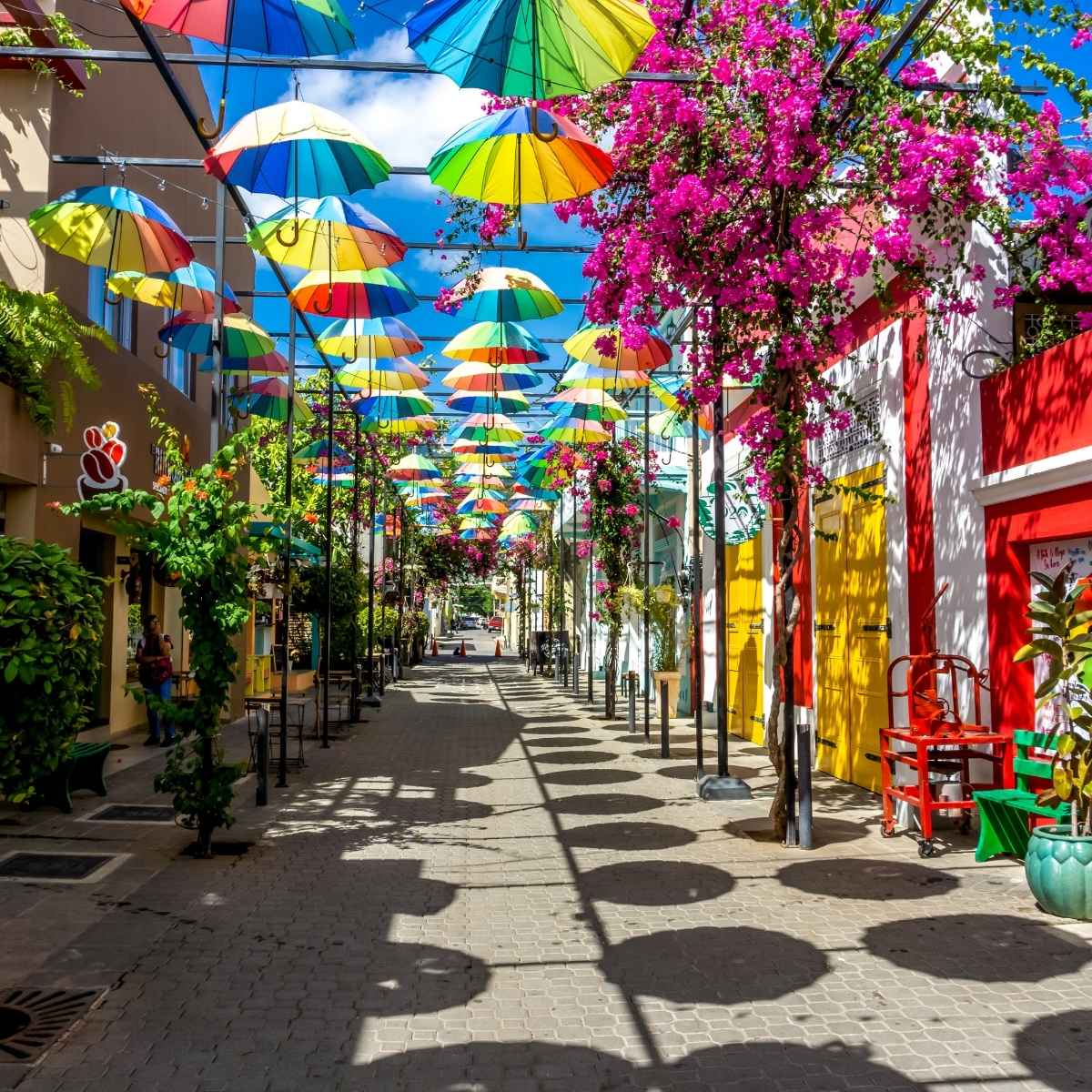 andalcaribe nuestra vision calle colorida