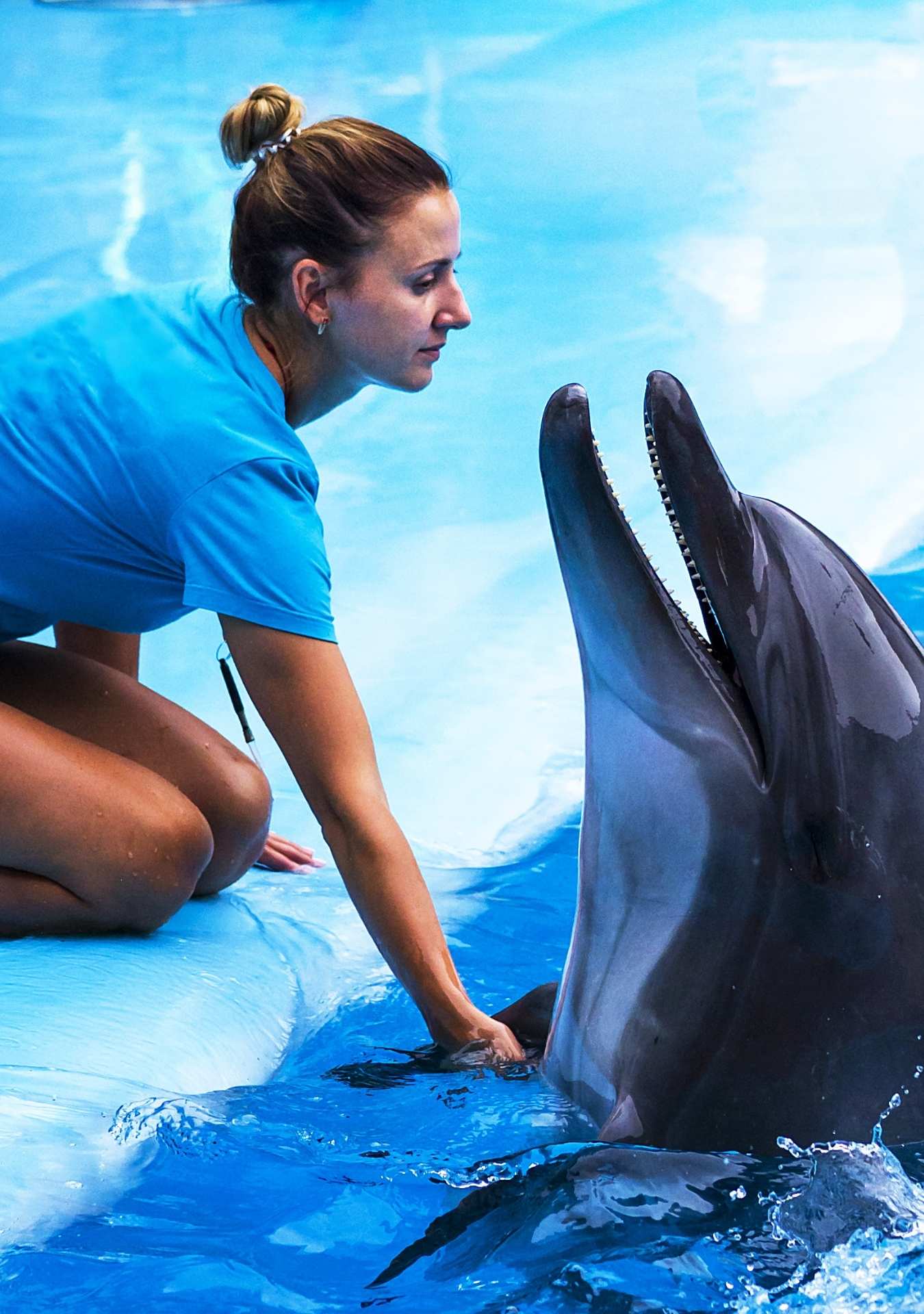 dolphin explorer punta cana