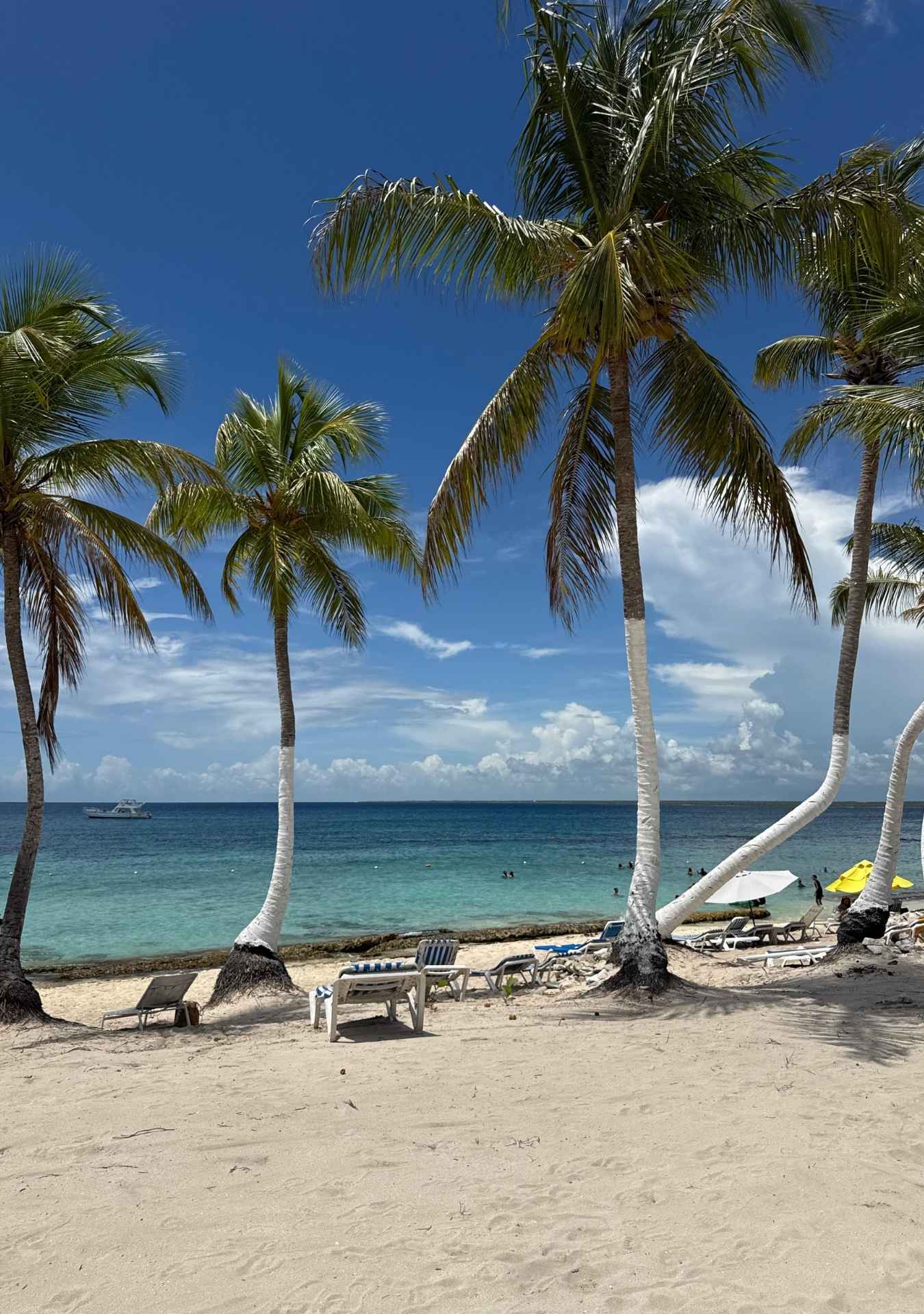 Isla Catalina - Snorkel