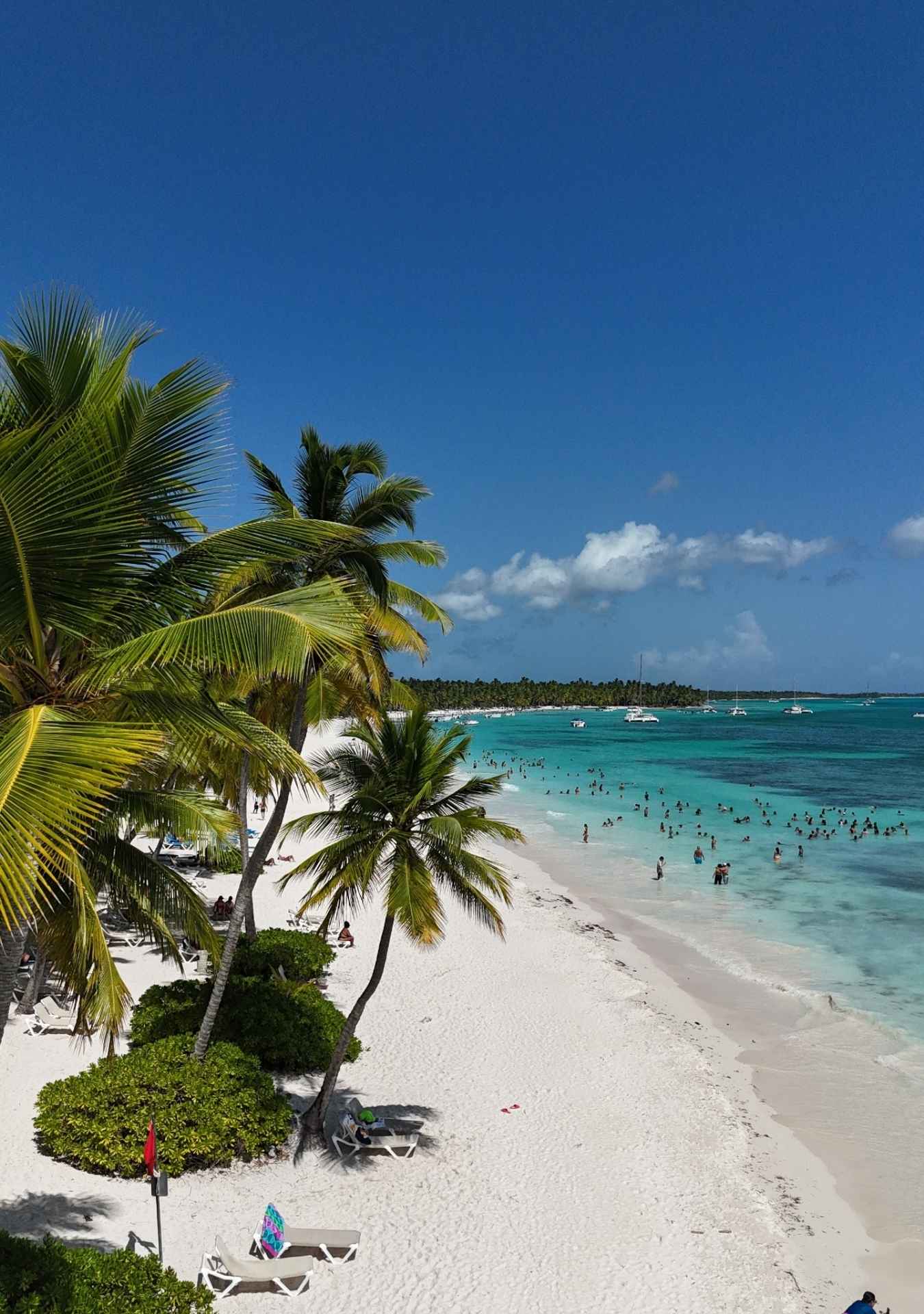 Isla Saona