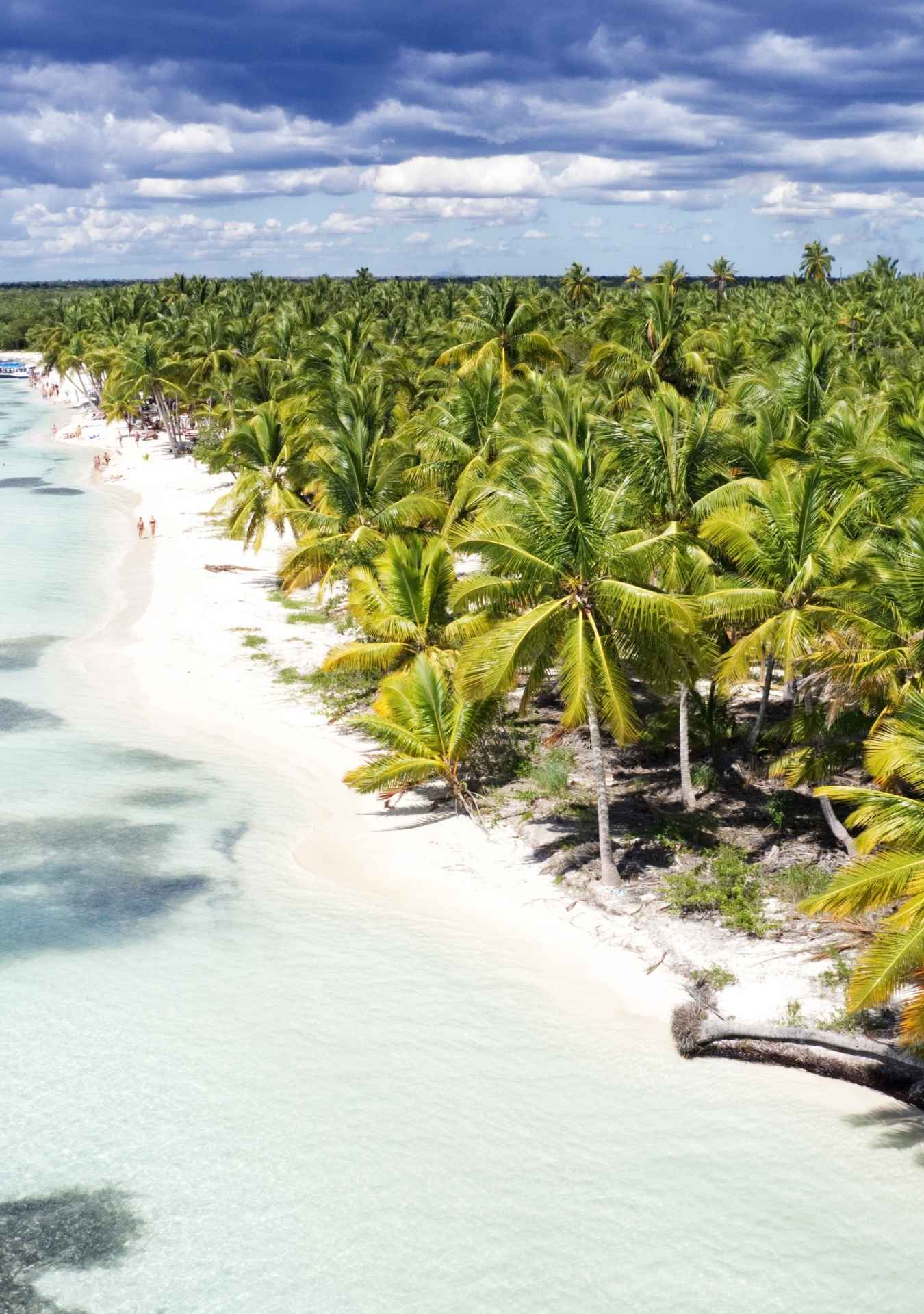 Isla Saona