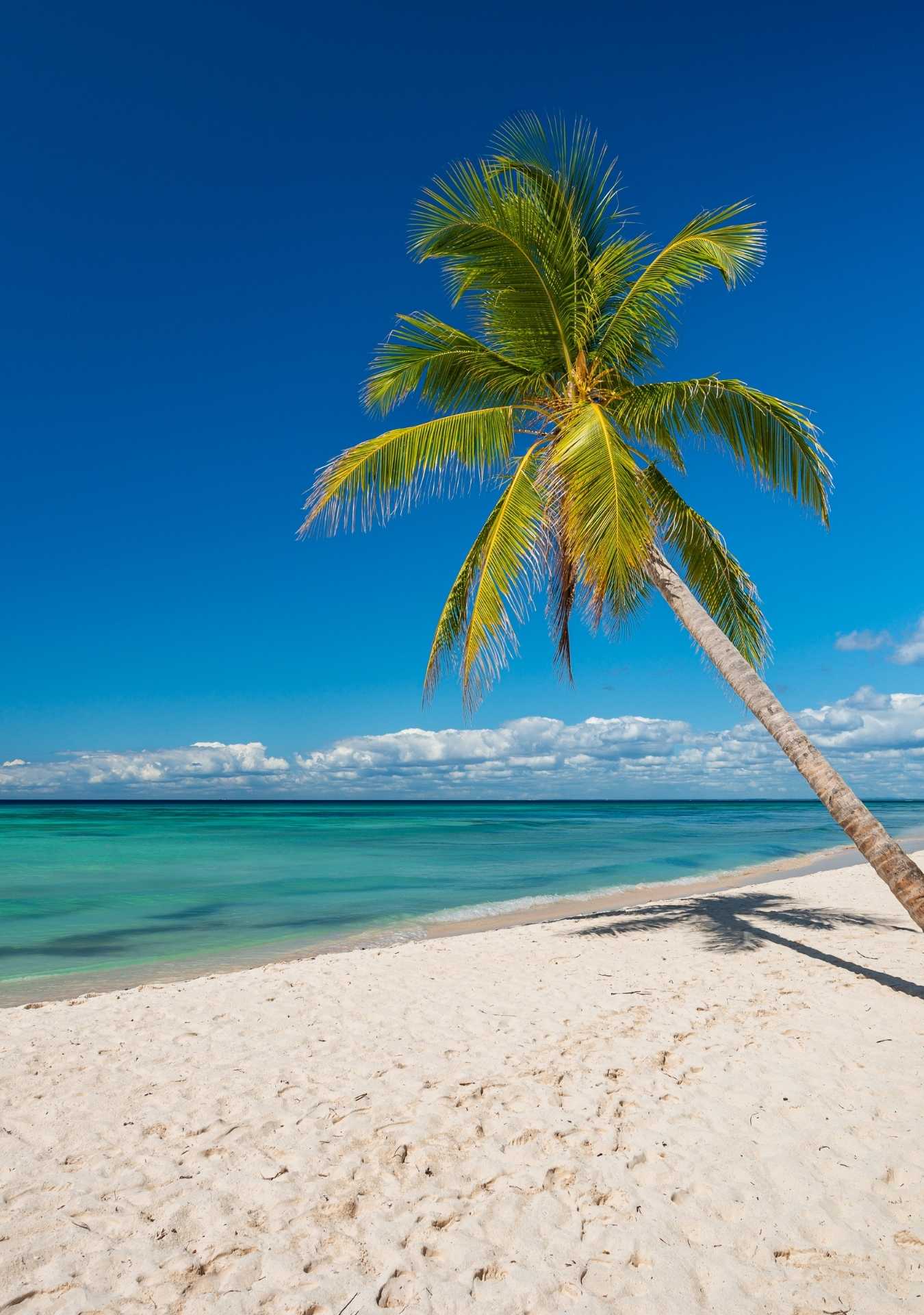 Isla Saona