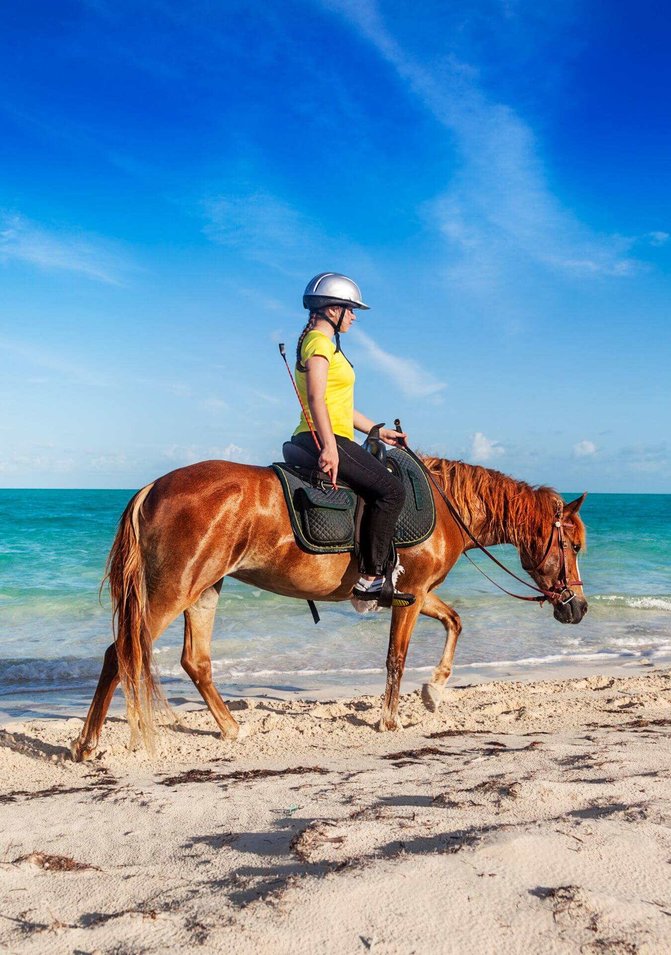 Paseo a Caballo - Playa Macao