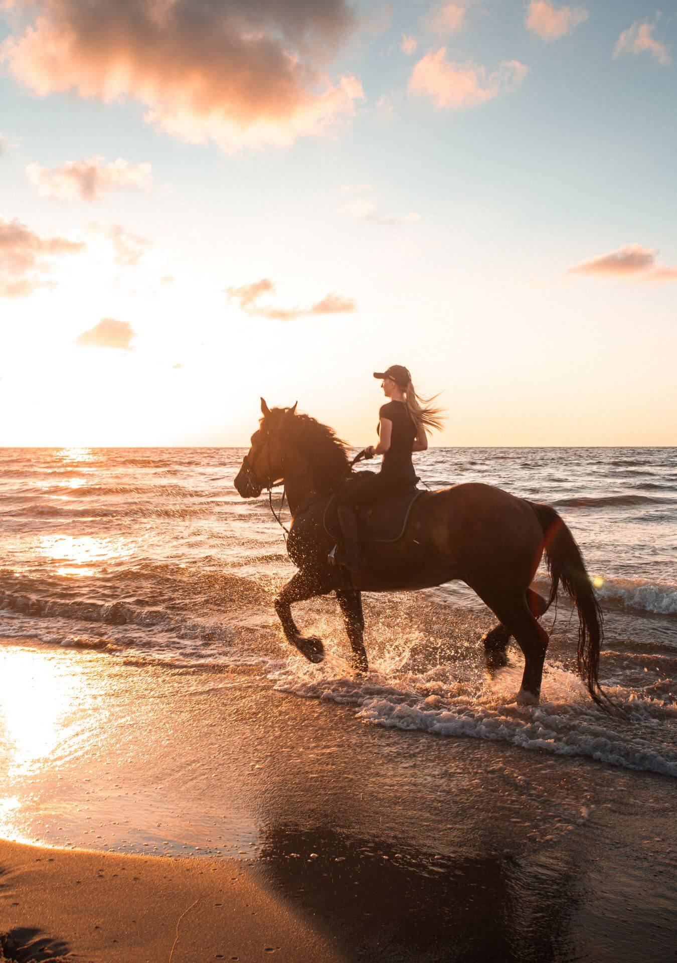 Paseo a Caballo - Playa Macao