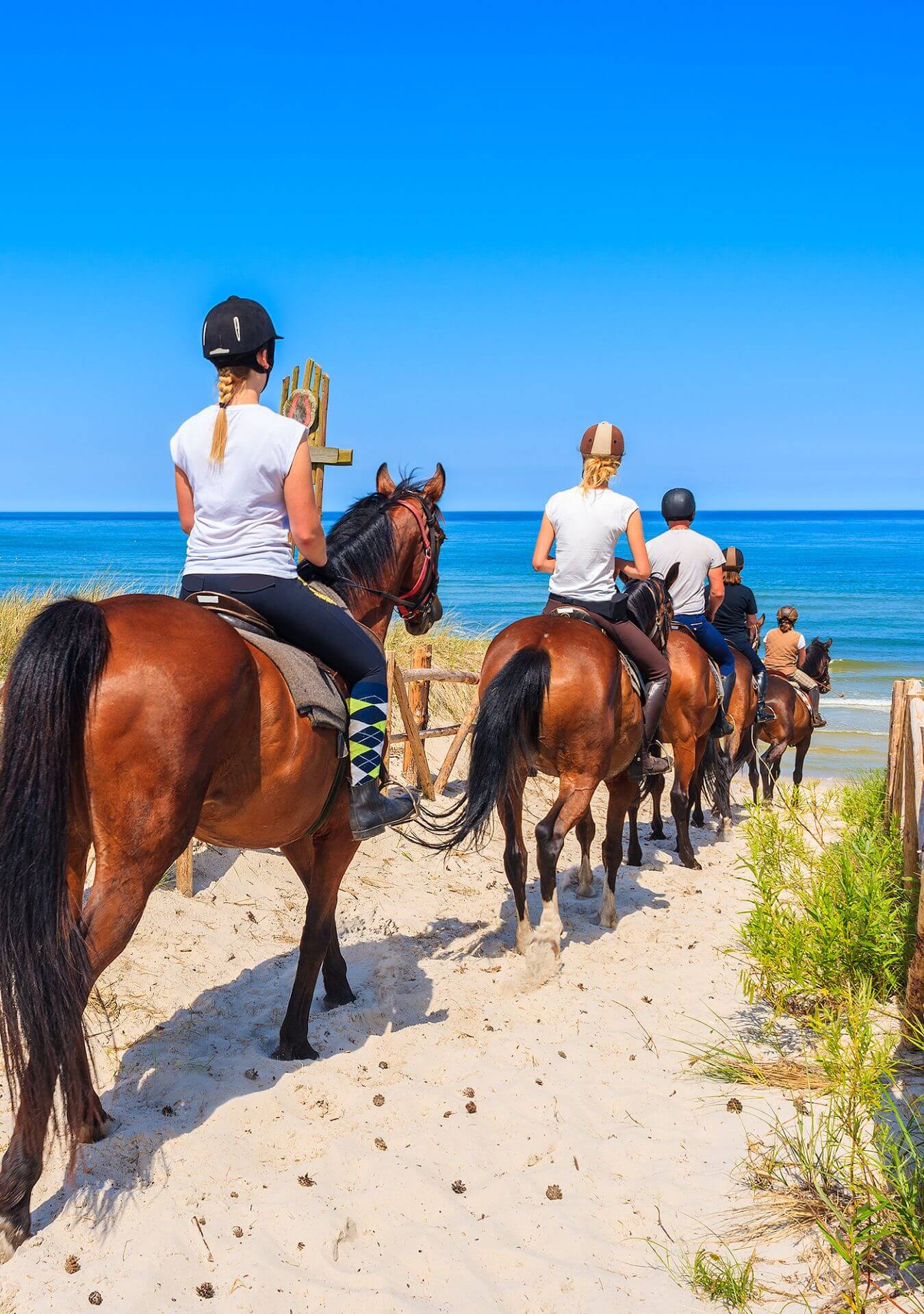 Paseo a Caballo - Playa Macao