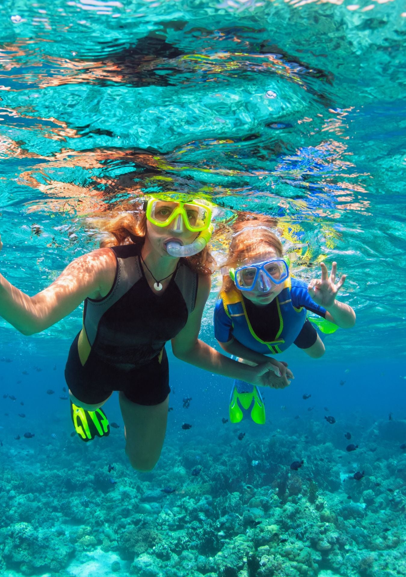 snorkel familia isla catalina andalcaribe