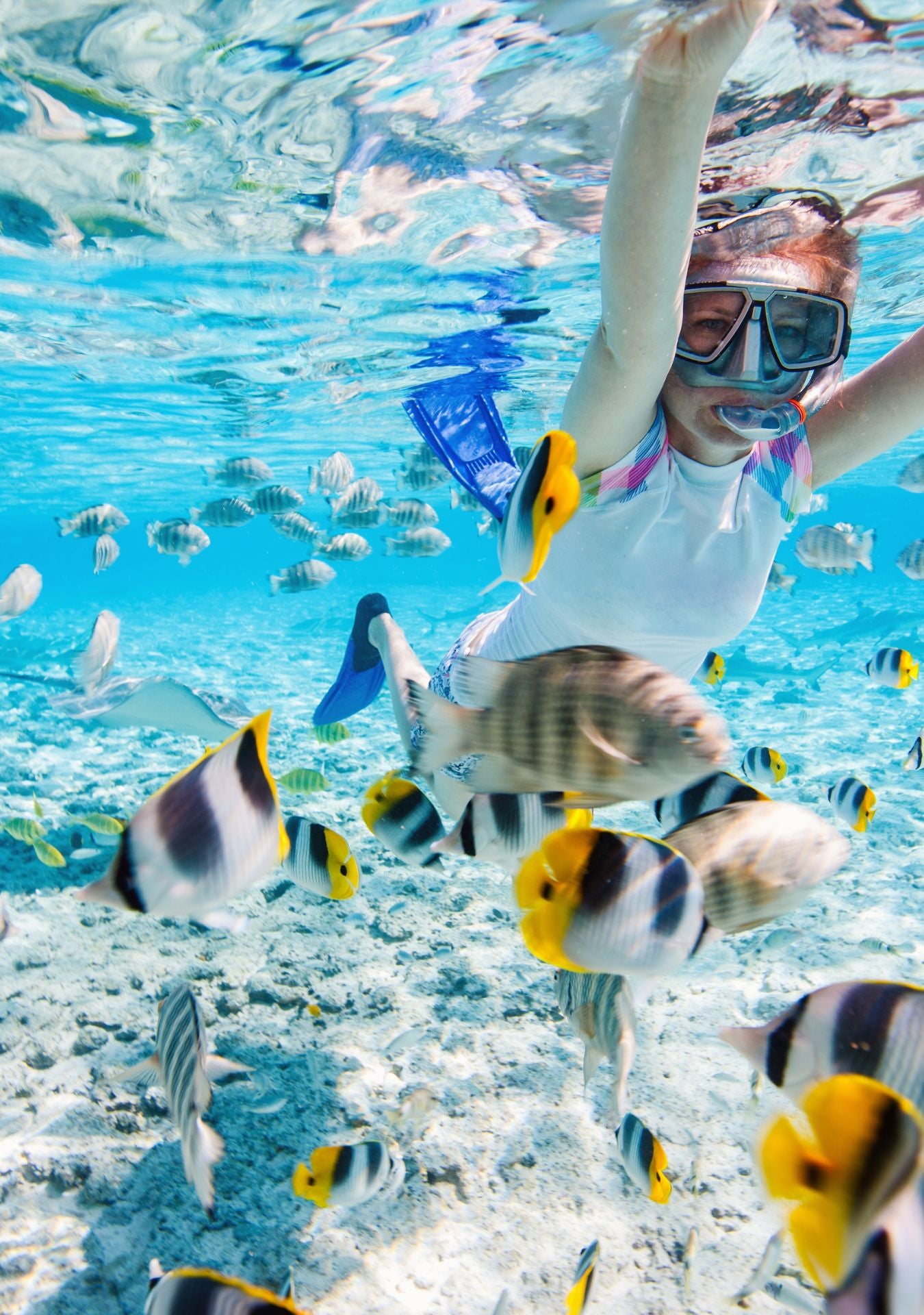 snorkel familia isla catalina