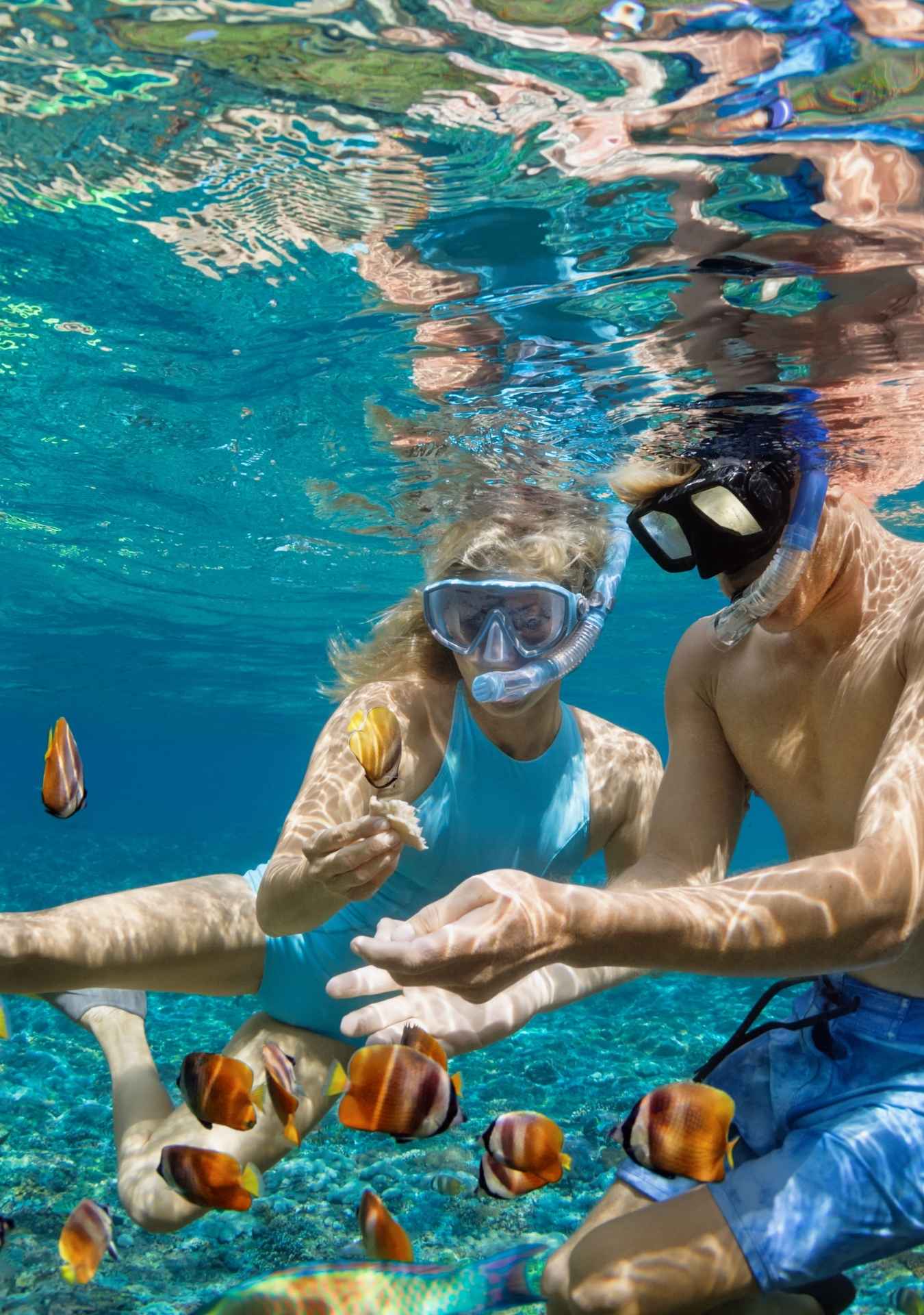 Speed Boat Doble (1-2 personas) - Lancha Rápida en Punta Cana